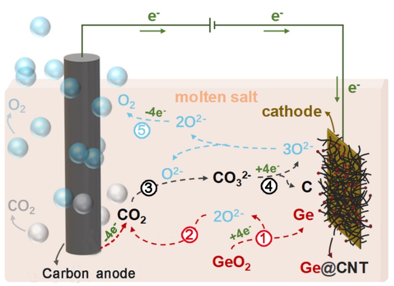 Cathode-Anode Synergy