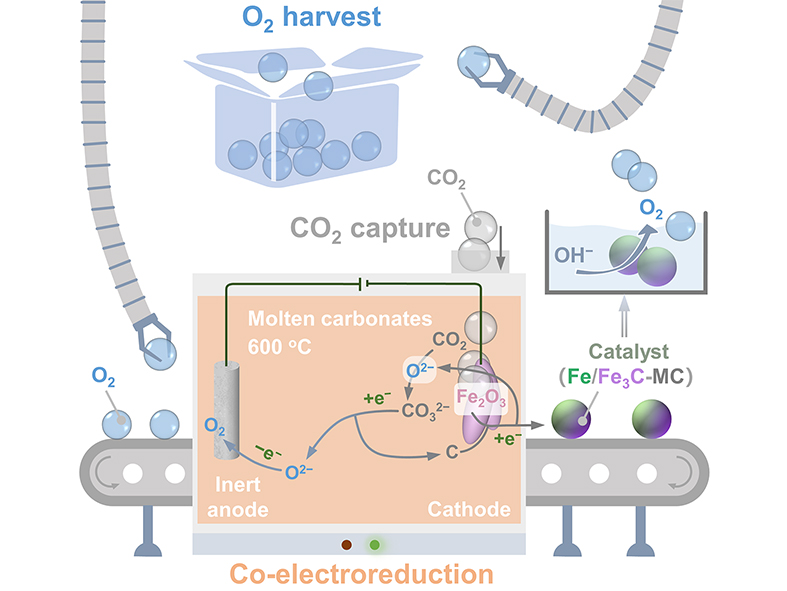 Bridging carbon neutrality and metallurgy