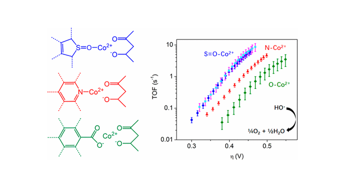 Heterogeneous Electrocatalyst with Molecular Cobalt Ions Serving as the Center of Active Sites